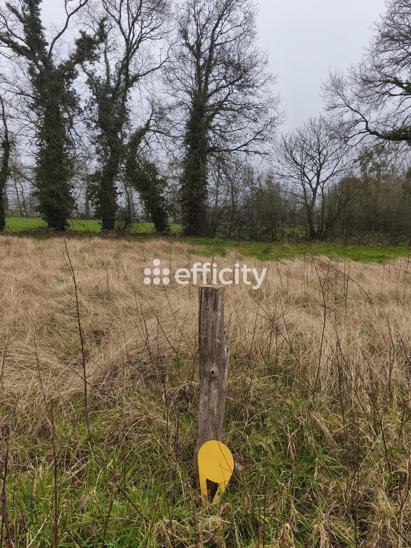 terrain  - 634,0m2 à Saint-Thual (35190)