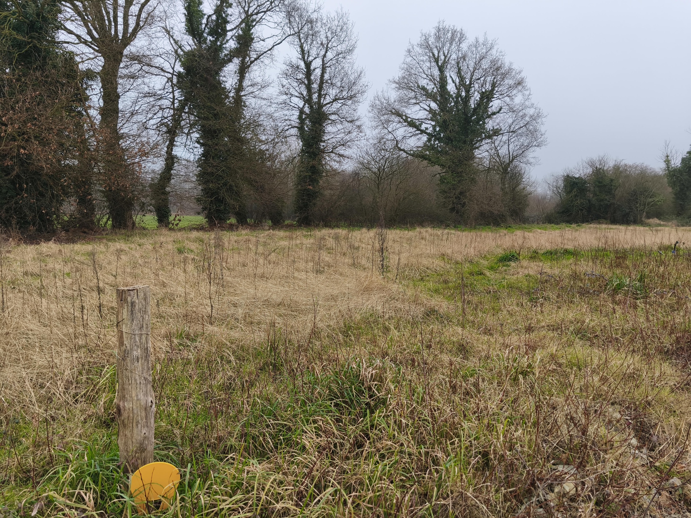 terrain  - 679,0m2 à Saint-Thual (35190)