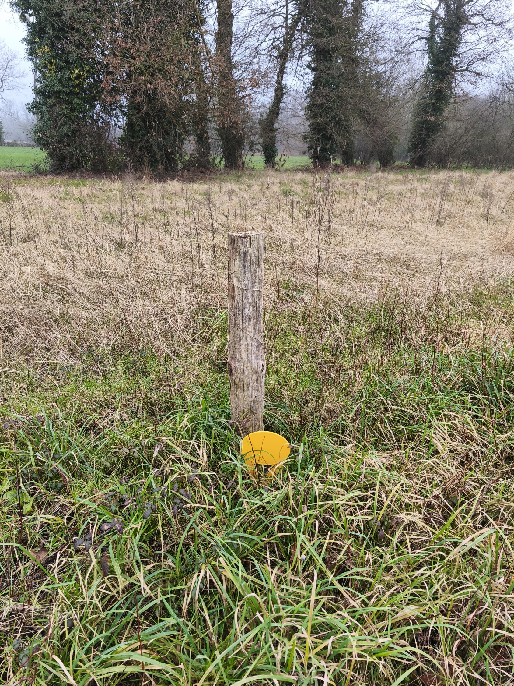 terrain  - 941,0m2 à Saint-Thual (35190)