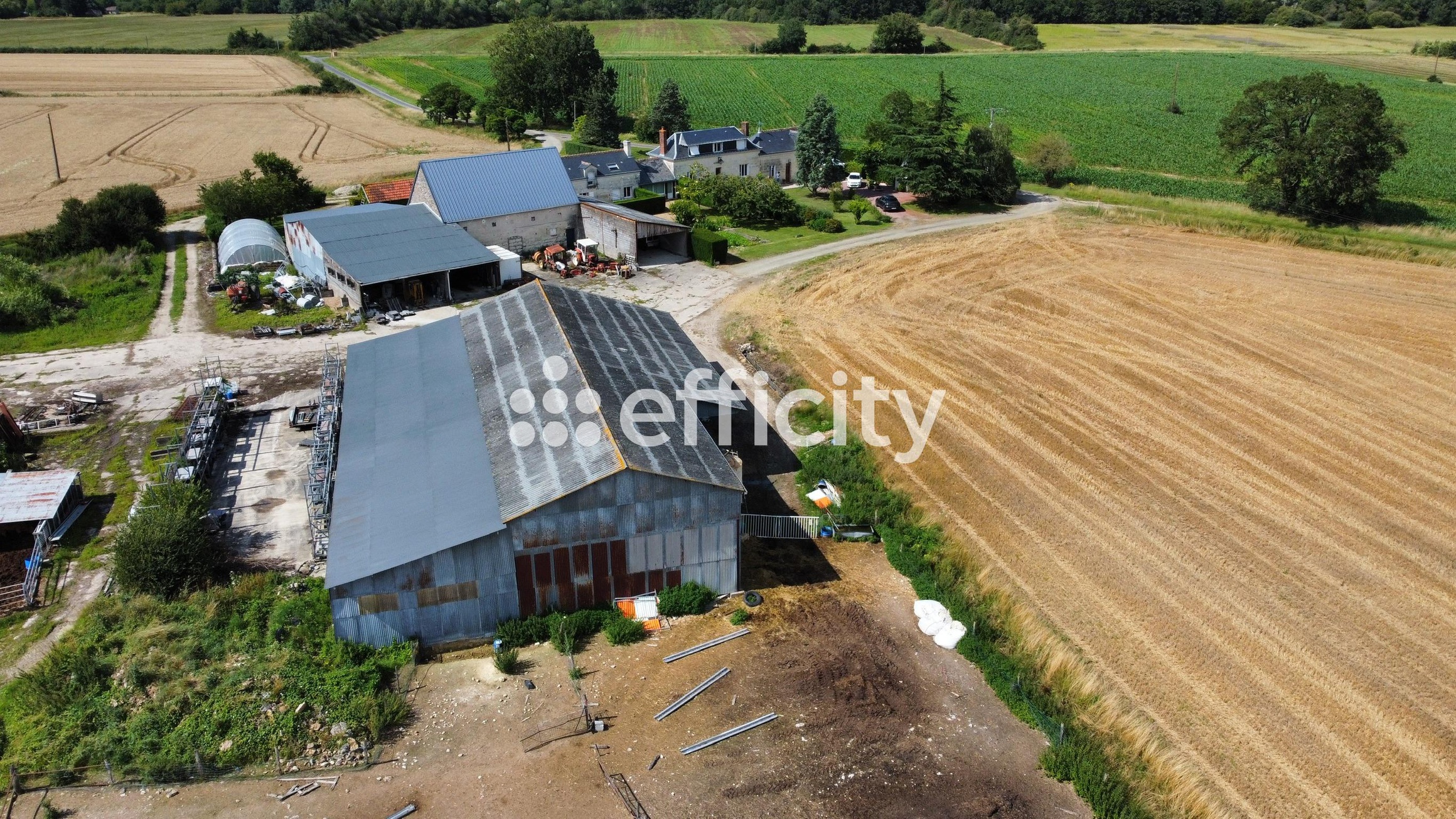 Achat immobilier Maison 11 pièces  252m2 à Cinq-Mars-la-Pile (37130) - Photo n°5