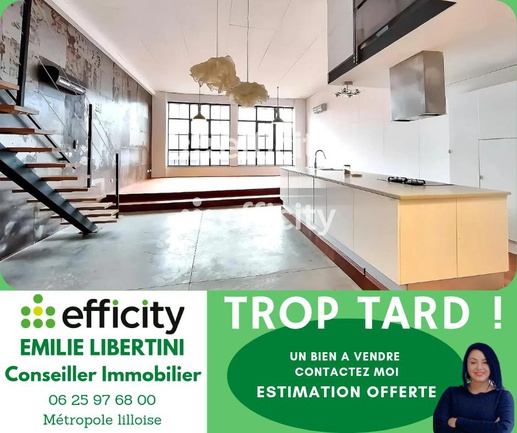 appartement 3 pièces - 138m2 à Roubaix (59100)