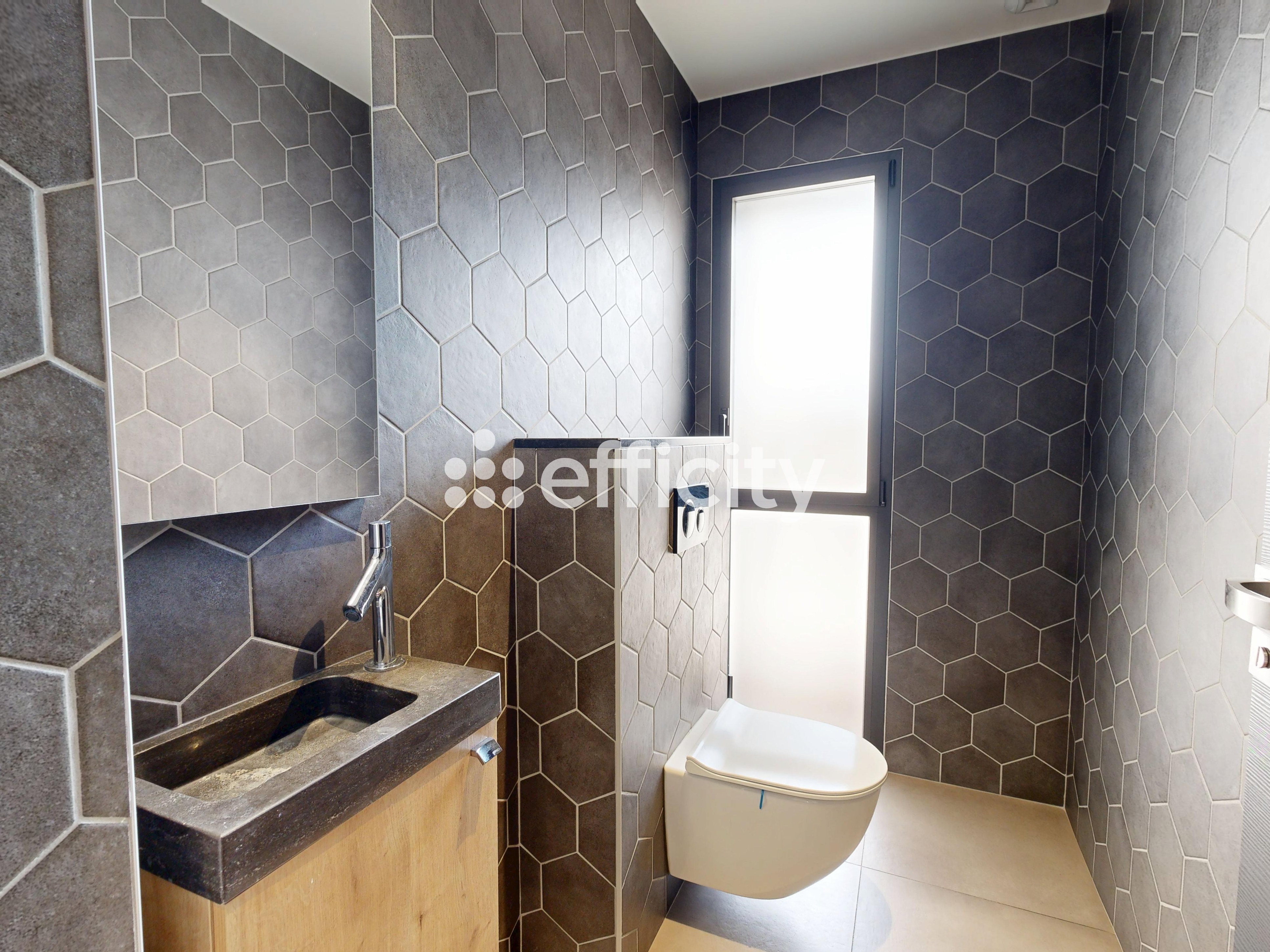 Achat immobilier Maison 6 pièces  190m2 à Saint-Alban-de-Roche (38080) - Photo n°15