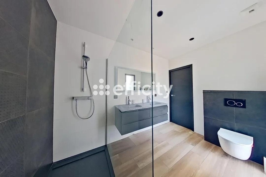 Achat immobilier Maison 6 pièces  190m2 à Saint-Alban-de-Roche (38080) - Photo n°14