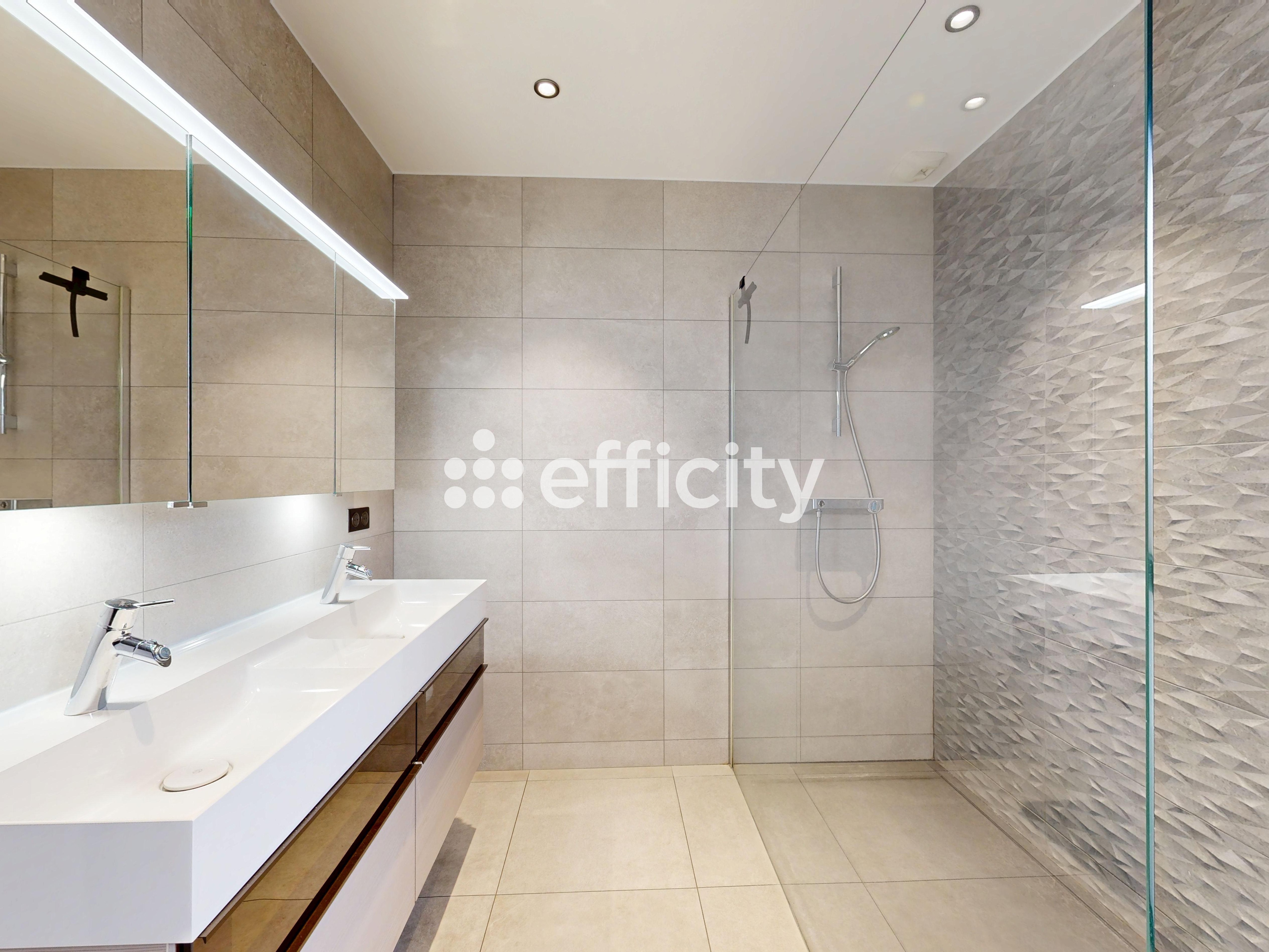 Achat immobilier Maison 6 pièces  190m2 à Saint-Alban-de-Roche (38080) - Photo n°11