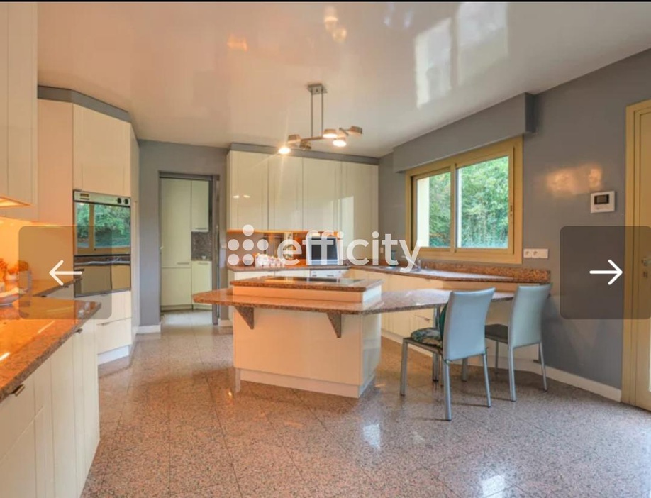 Achat immobilier Maison 9 pièces  300m2 à Guyancourt (78280) - Photo n°7