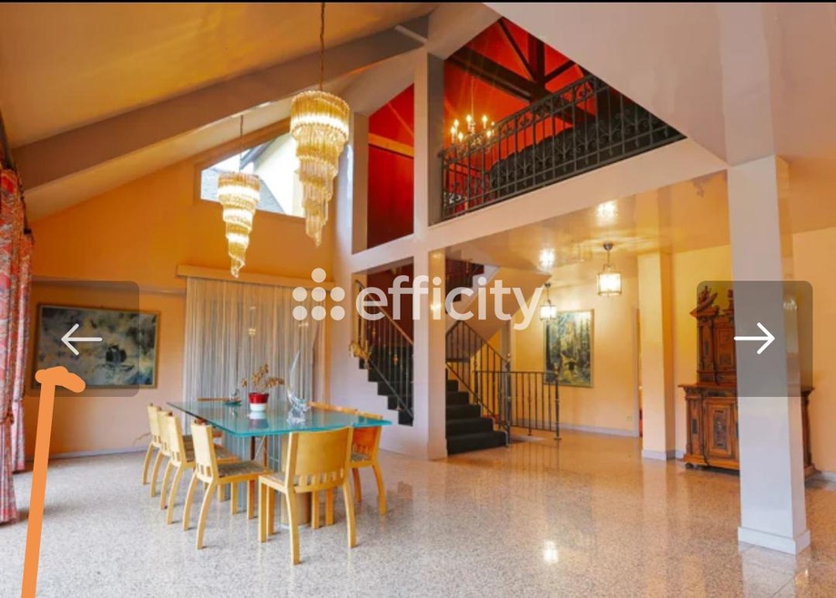 Achat immobilier Maison 9 pièces  300m2 à Guyancourt (78280) - Photo n°5