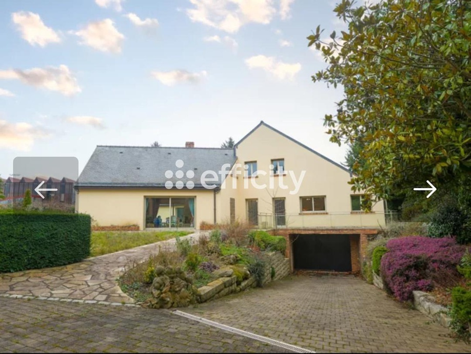 Achat immobilier Maison 9 pièces  300m2 à Guyancourt (78280) - Photo n°12