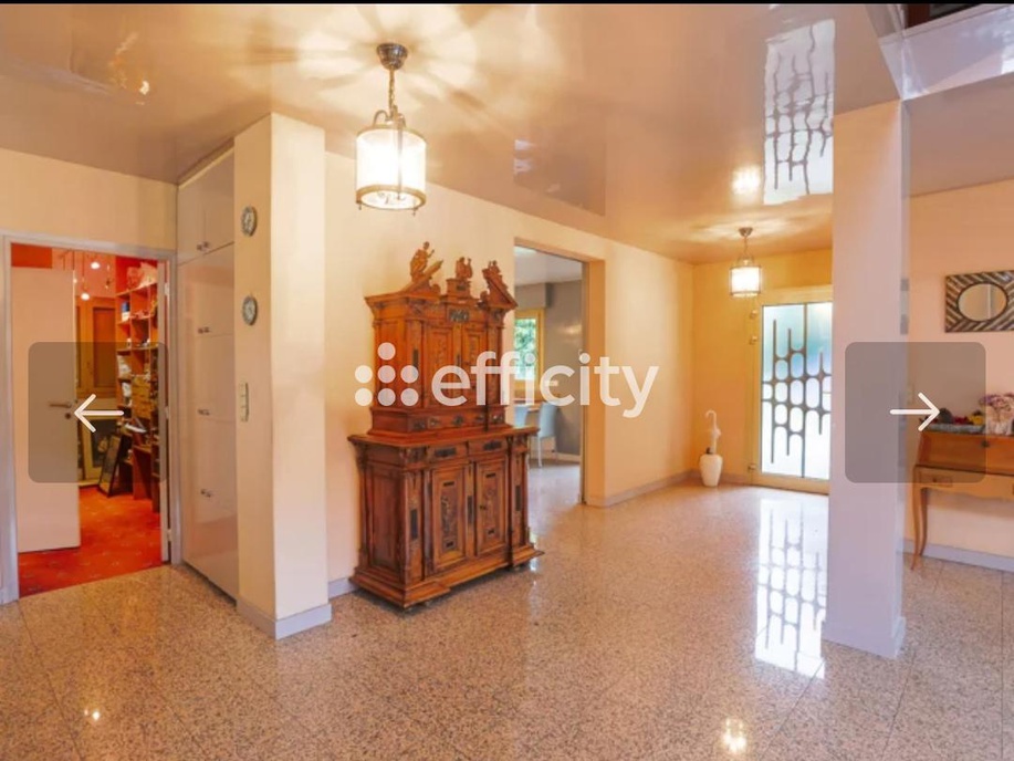 Achat immobilier Maison 9 pièces  300m2 à Guyancourt (78280) - Photo n°6