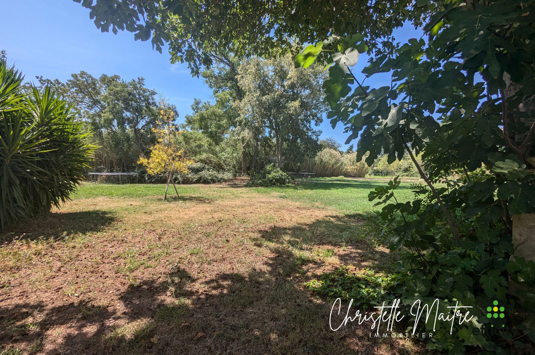 Achat immobilier Maison 10 pièces  333m2 à RAPHELE LES ARLES (13280) - Photo n°16