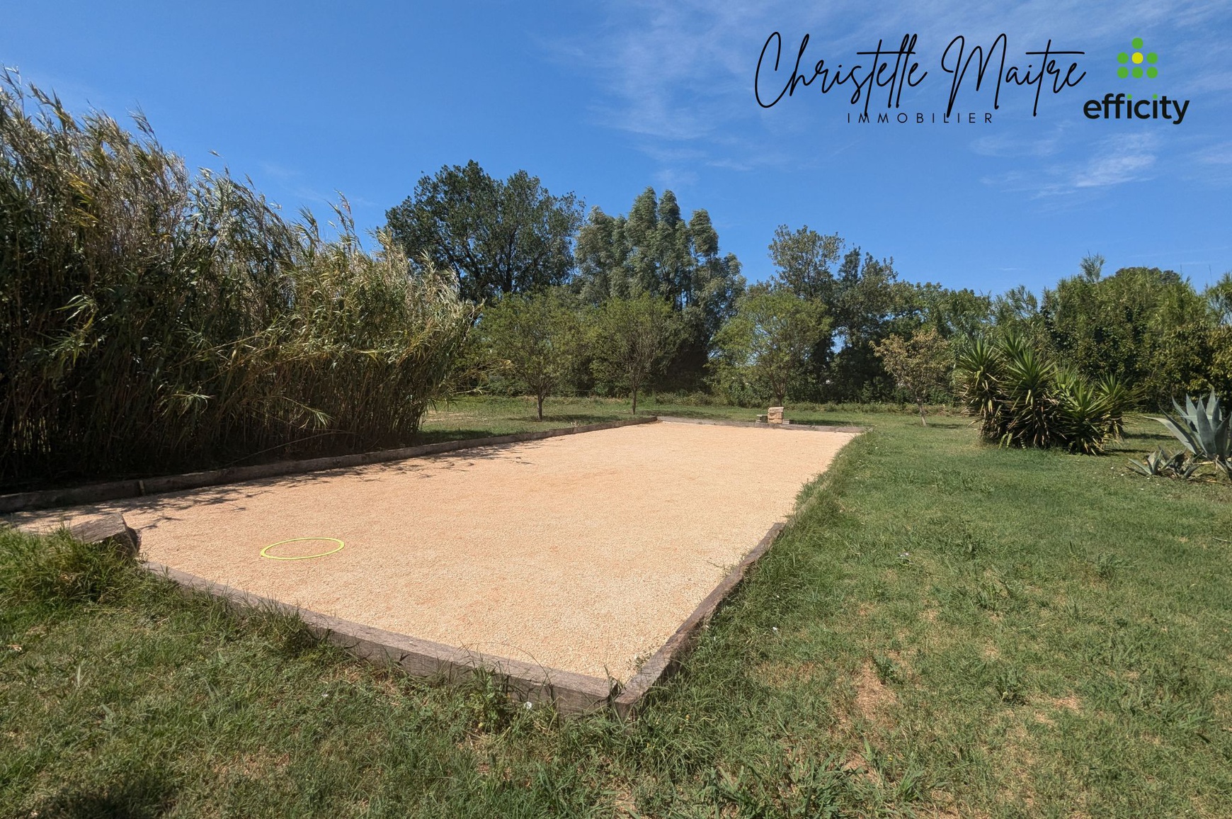 Achat immobilier Maison 10 pièces  333m2 à RAPHELE LES ARLES (13280) - Photo n°5