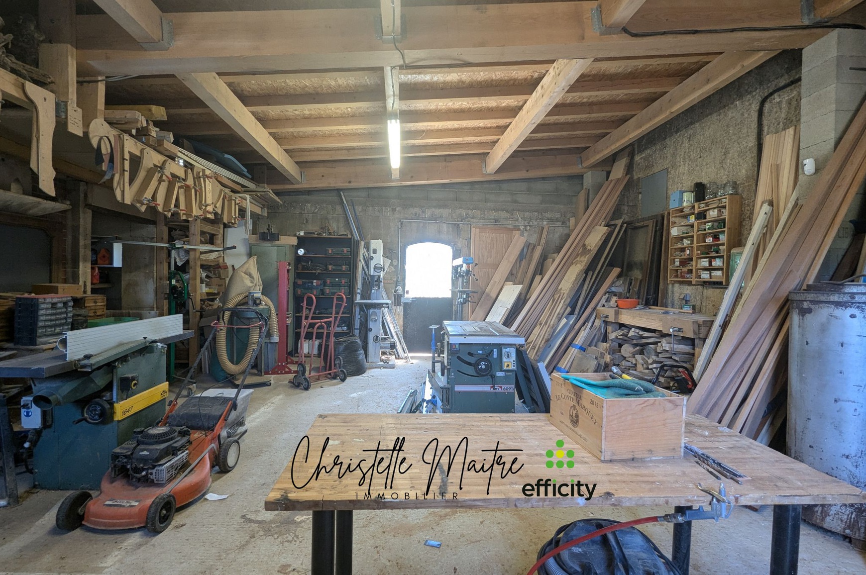 Achat immobilier Maison 10 pièces  333m2 à RAPHELE LES ARLES (13280) - Photo n°21