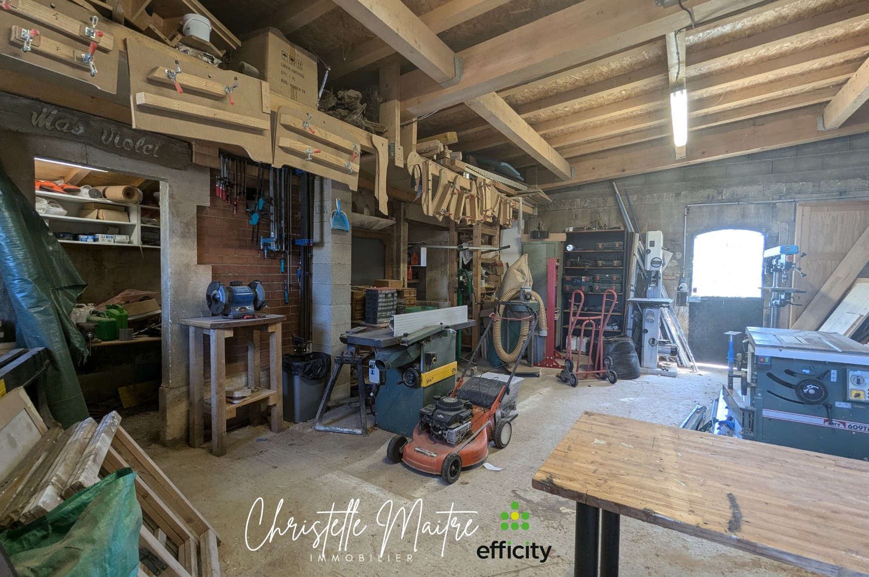 Achat immobilier Maison 10 pièces  333m2 à RAPHELE LES ARLES (13280) - Photo n°19