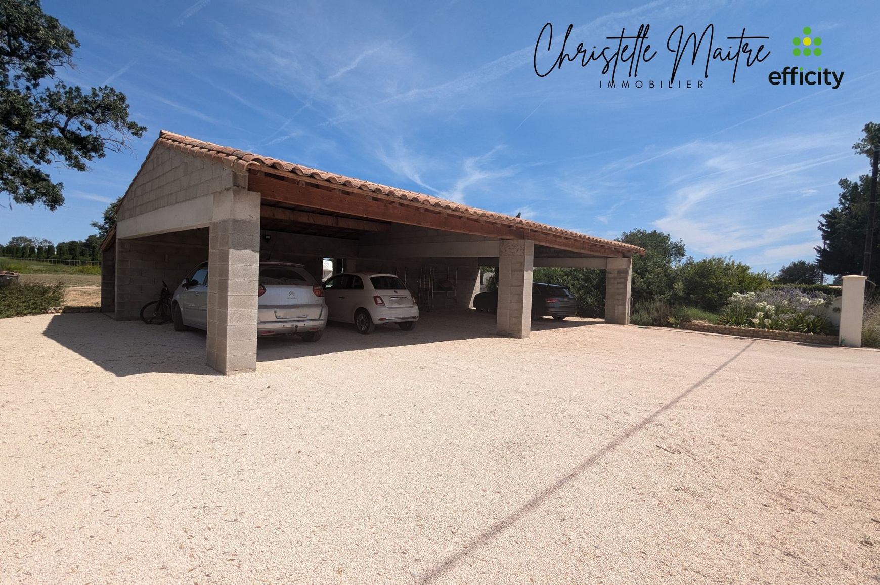 Achat immobilier Maison 10 pièces  333m2 à RAPHELE LES ARLES (13280) - Photo n°18