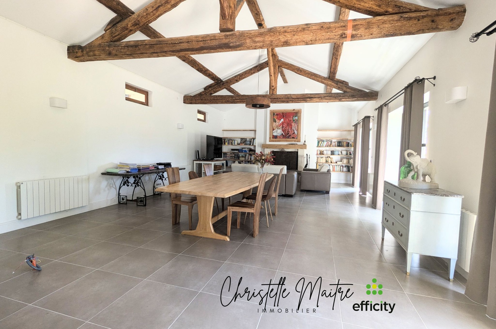 Achat immobilier Maison 10 pièces  333m2 à RAPHELE LES ARLES (13280) - Photo n°8