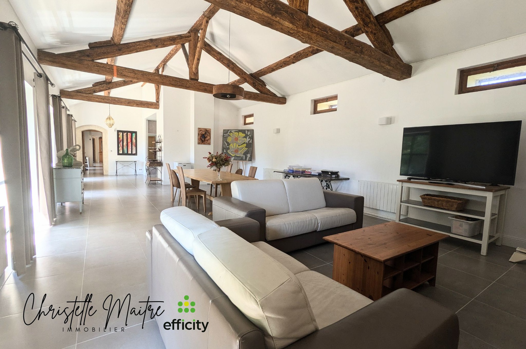 Achat immobilier Maison 10 pièces  333m2 à RAPHELE LES ARLES (13280) - Photo n°7