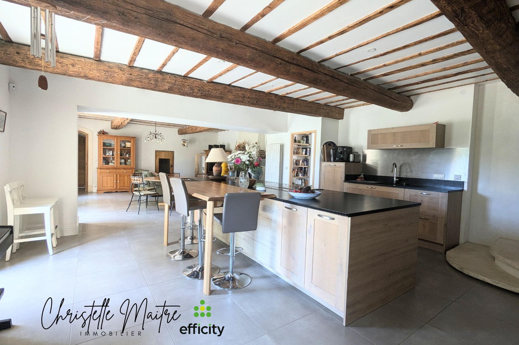 Achat immobilier Maison 10 pièces  333m2 à RAPHELE LES ARLES (13280) - Photo n°9