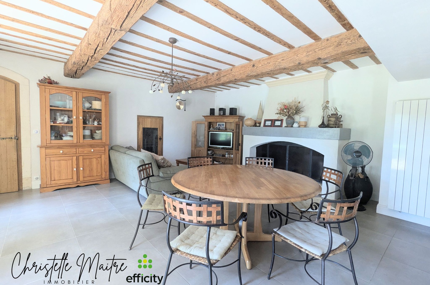 Achat immobilier Maison 10 pièces  333m2 à RAPHELE LES ARLES (13280) - Photo n°10