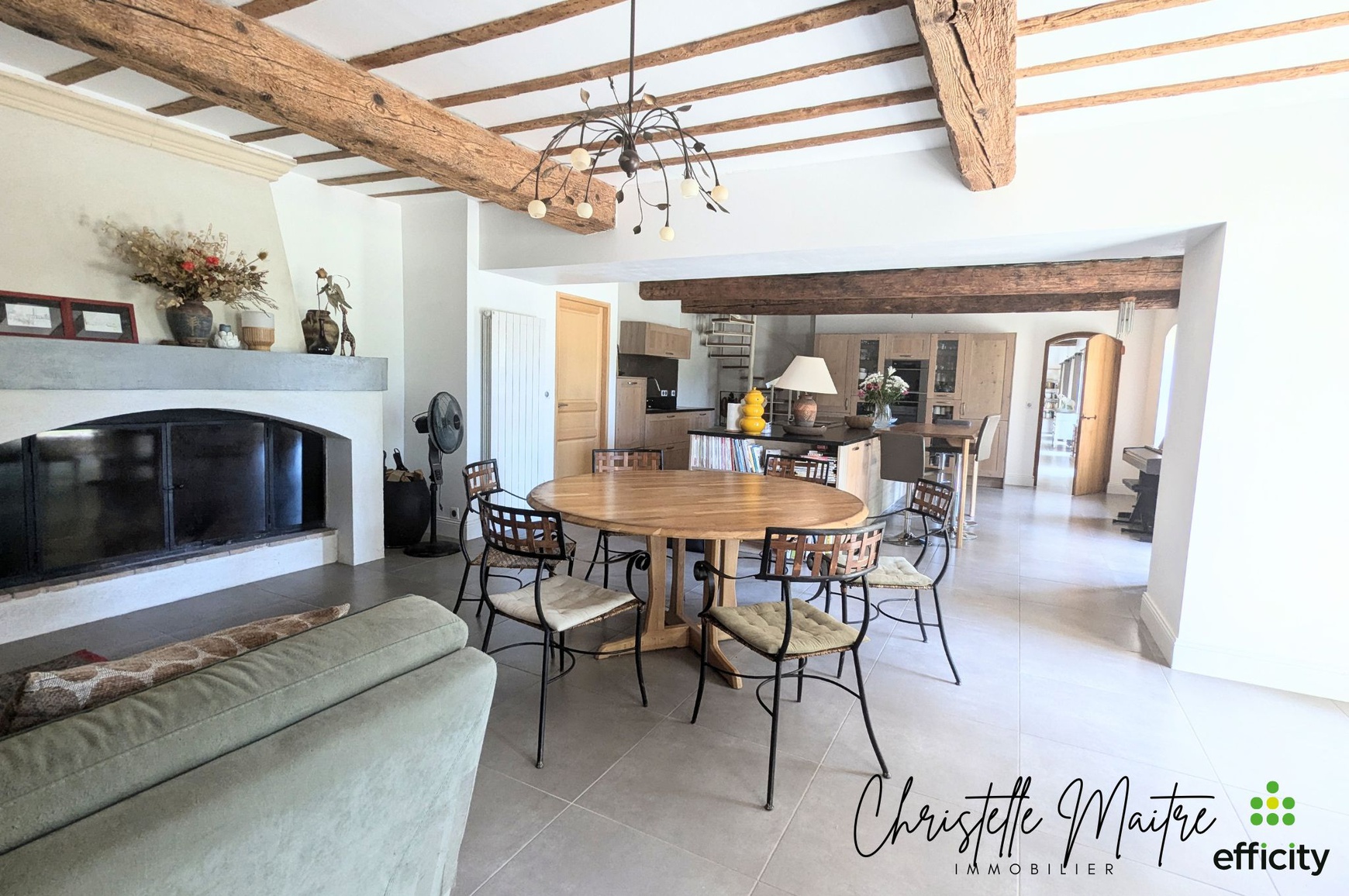 Achat immobilier Maison 10 pièces  333m2 à RAPHELE LES ARLES (13280) - Photo n°11