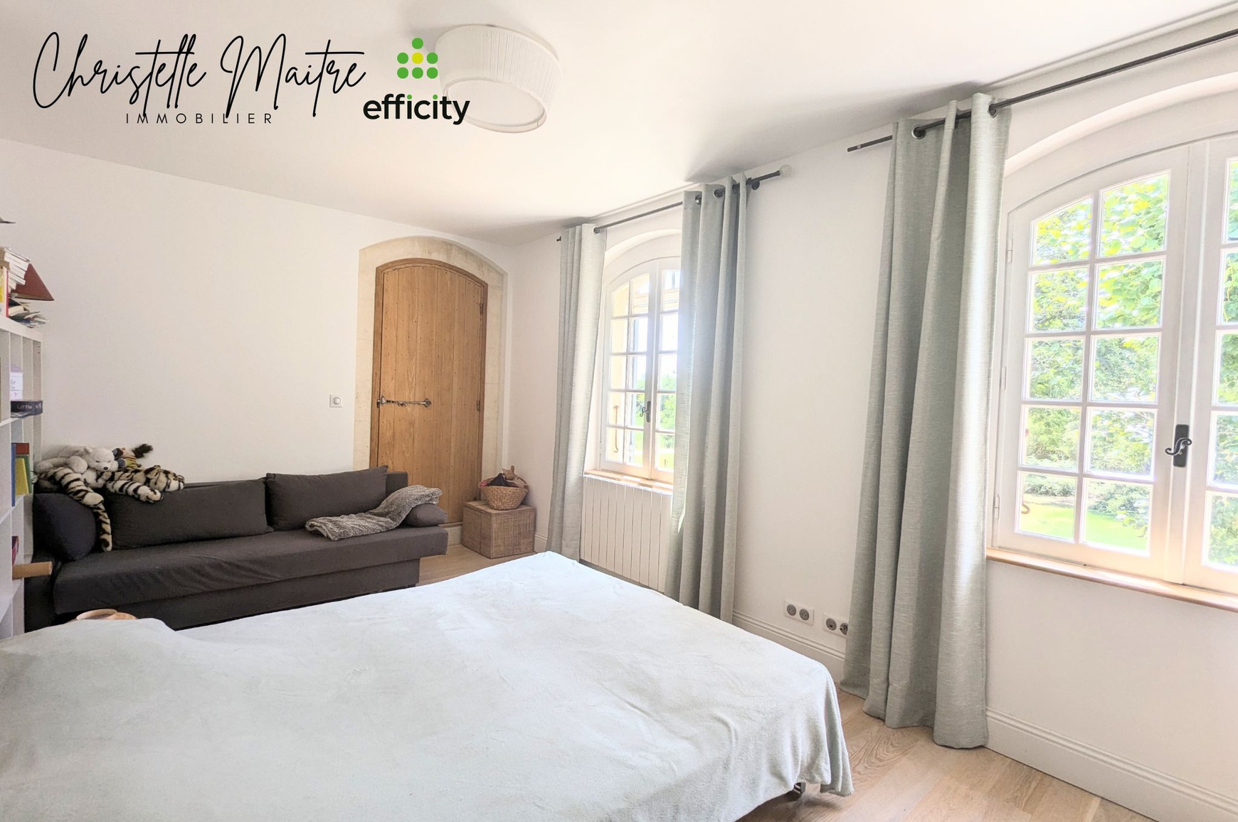 Achat immobilier Maison 10 pièces  333m2 à RAPHELE LES ARLES (13280) - Photo n°12