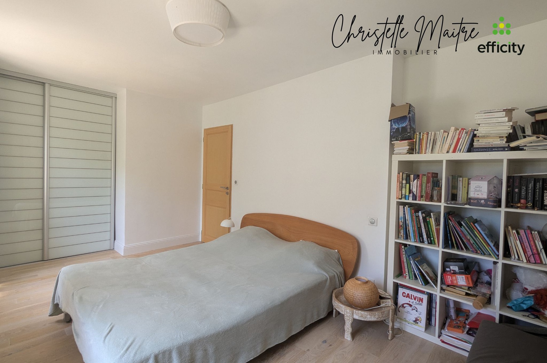 Achat immobilier Maison 10 pièces  333m2 à RAPHELE LES ARLES (13280) - Photo n°27