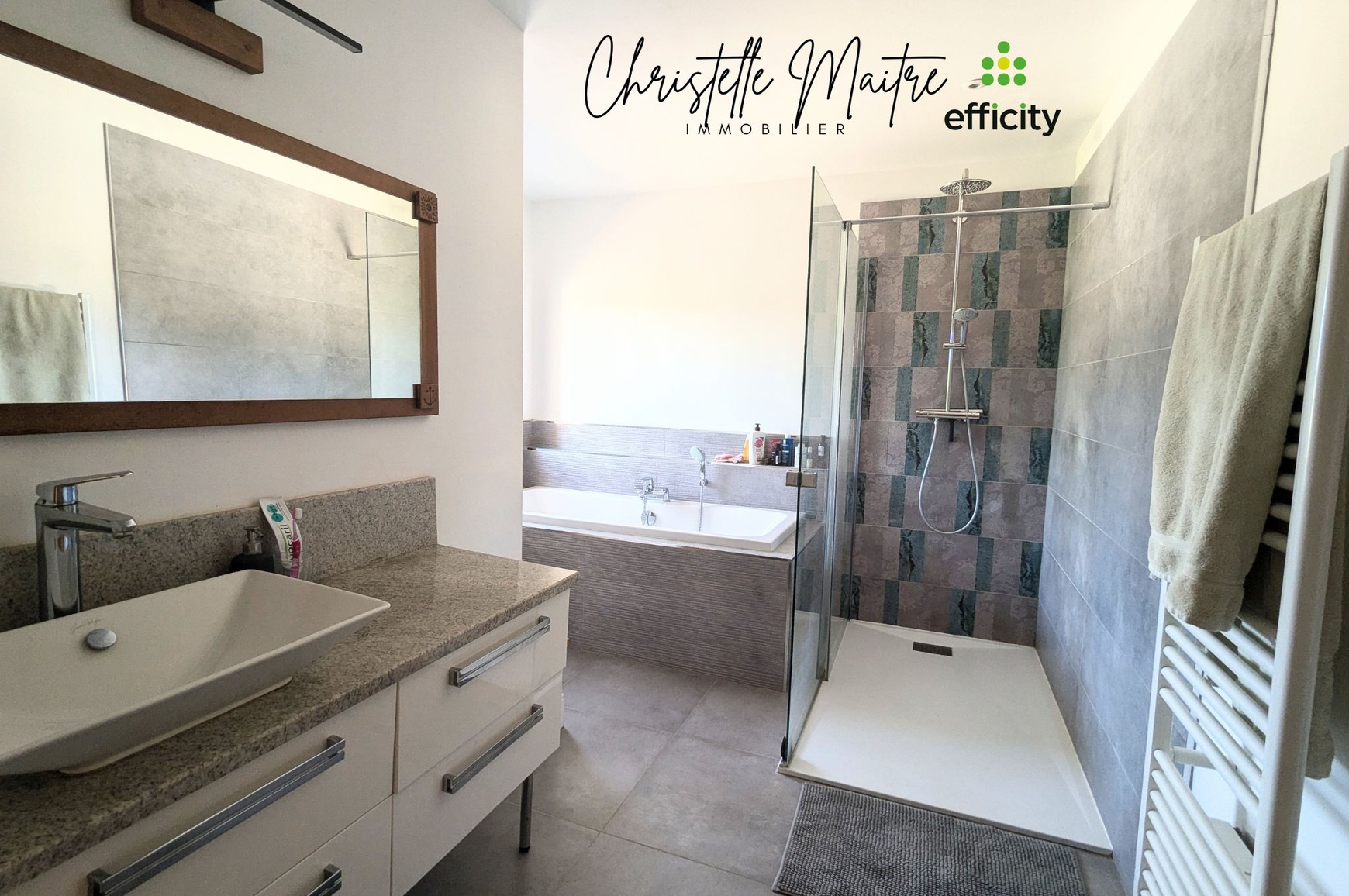 Achat immobilier Maison 10 pièces  333m2 à RAPHELE LES ARLES (13280) - Photo n°14