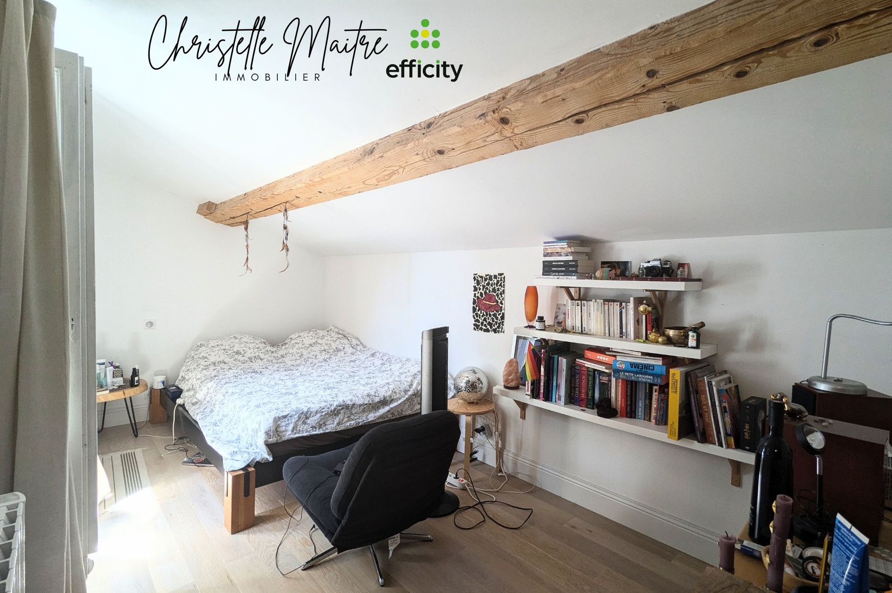 Achat immobilier Maison 10 pièces  333m2 à RAPHELE LES ARLES (13280) - Photo n°28