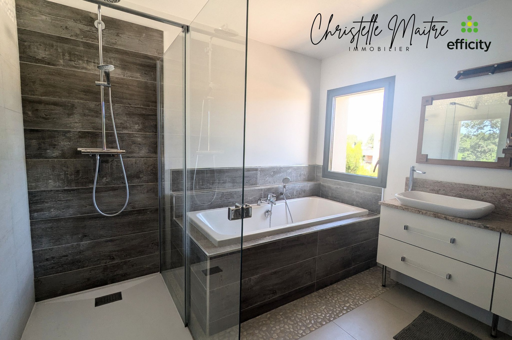 Achat immobilier Maison 10 pièces  333m2 à RAPHELE LES ARLES (13280) - Photo n°15