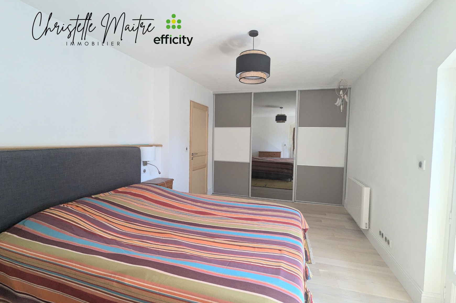 Achat immobilier Maison 10 pièces  333m2 à RAPHELE LES ARLES (13280) - Photo n°13