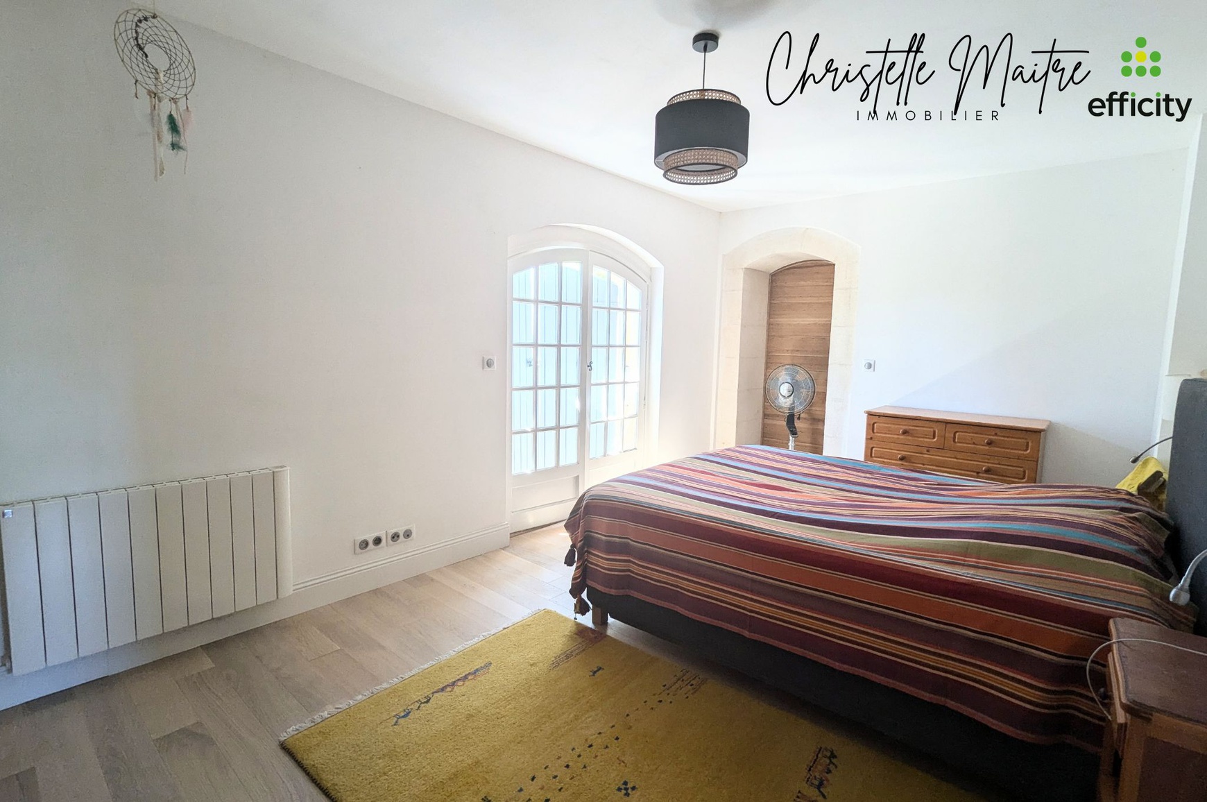 Achat immobilier Maison 10 pièces  333m2 à RAPHELE LES ARLES (13280) - Photo n°30