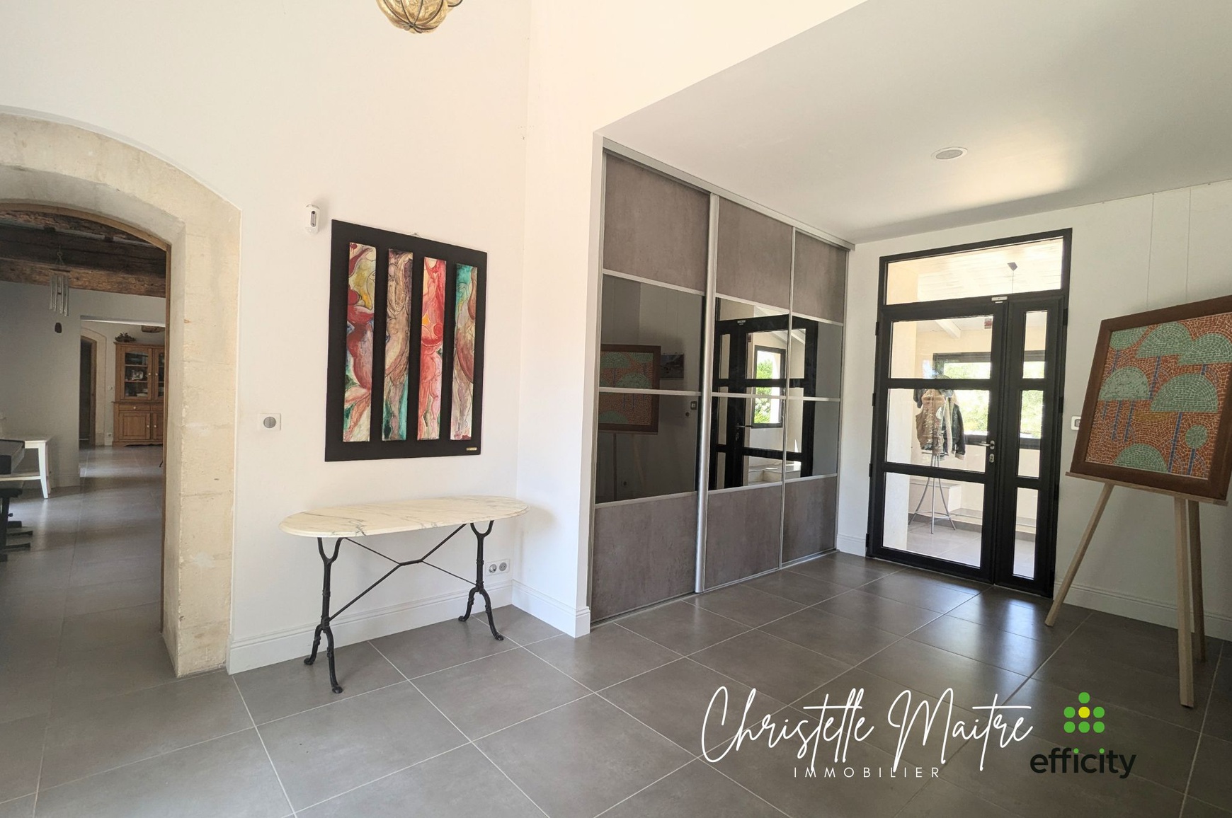 Achat immobilier Maison 10 pièces  333m2 à RAPHELE LES ARLES (13280) - Photo n°31