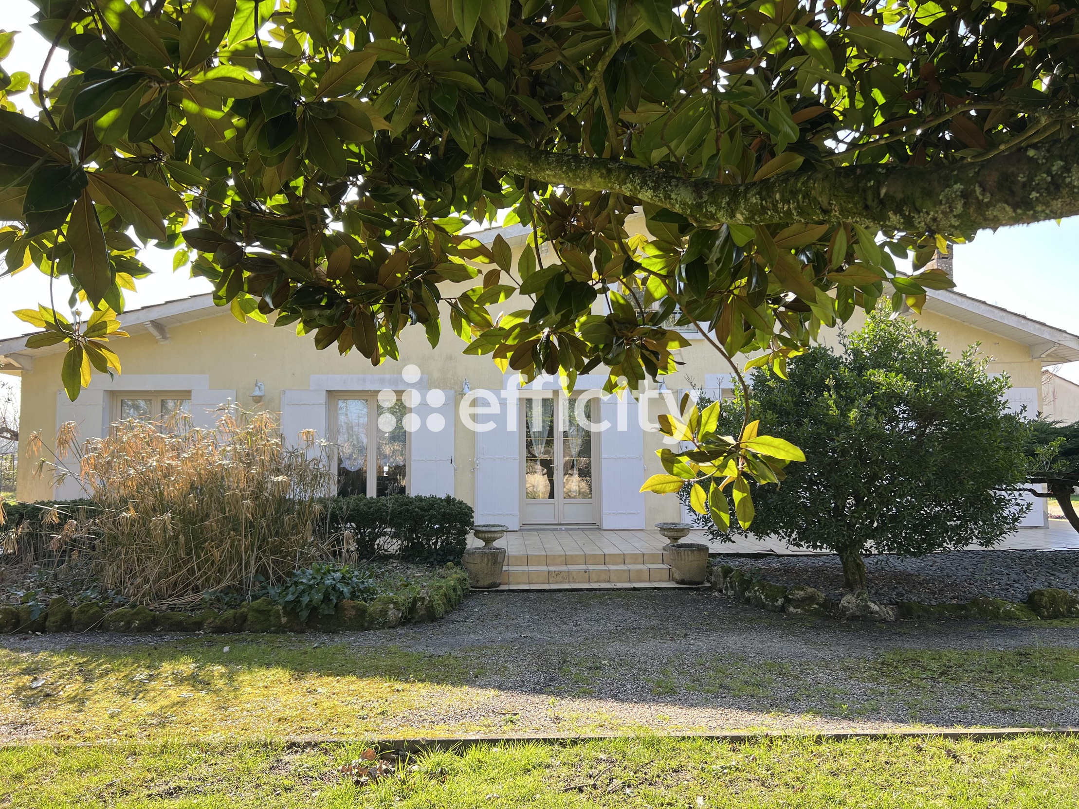 maison 9 pièces - 252m2 à Saint-Sauveur (33250)