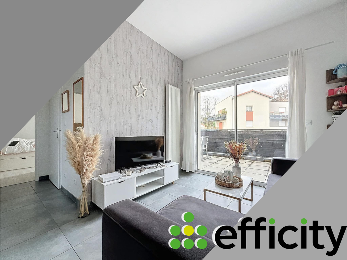 appartement 3 pièces - 52m2 à Sérézin-du-Rhône (69360)