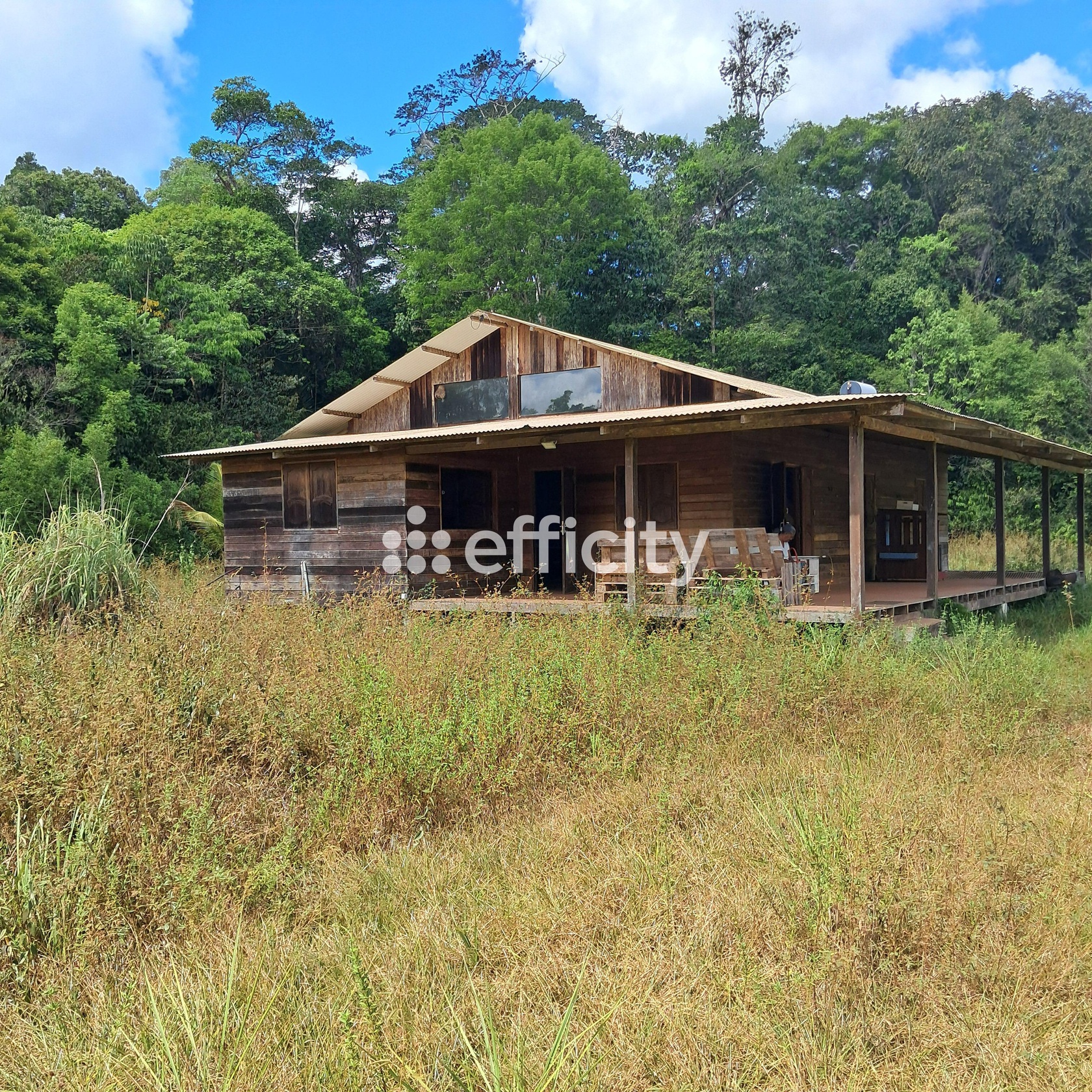 terrain  - 45500m2 à Roura (97311)