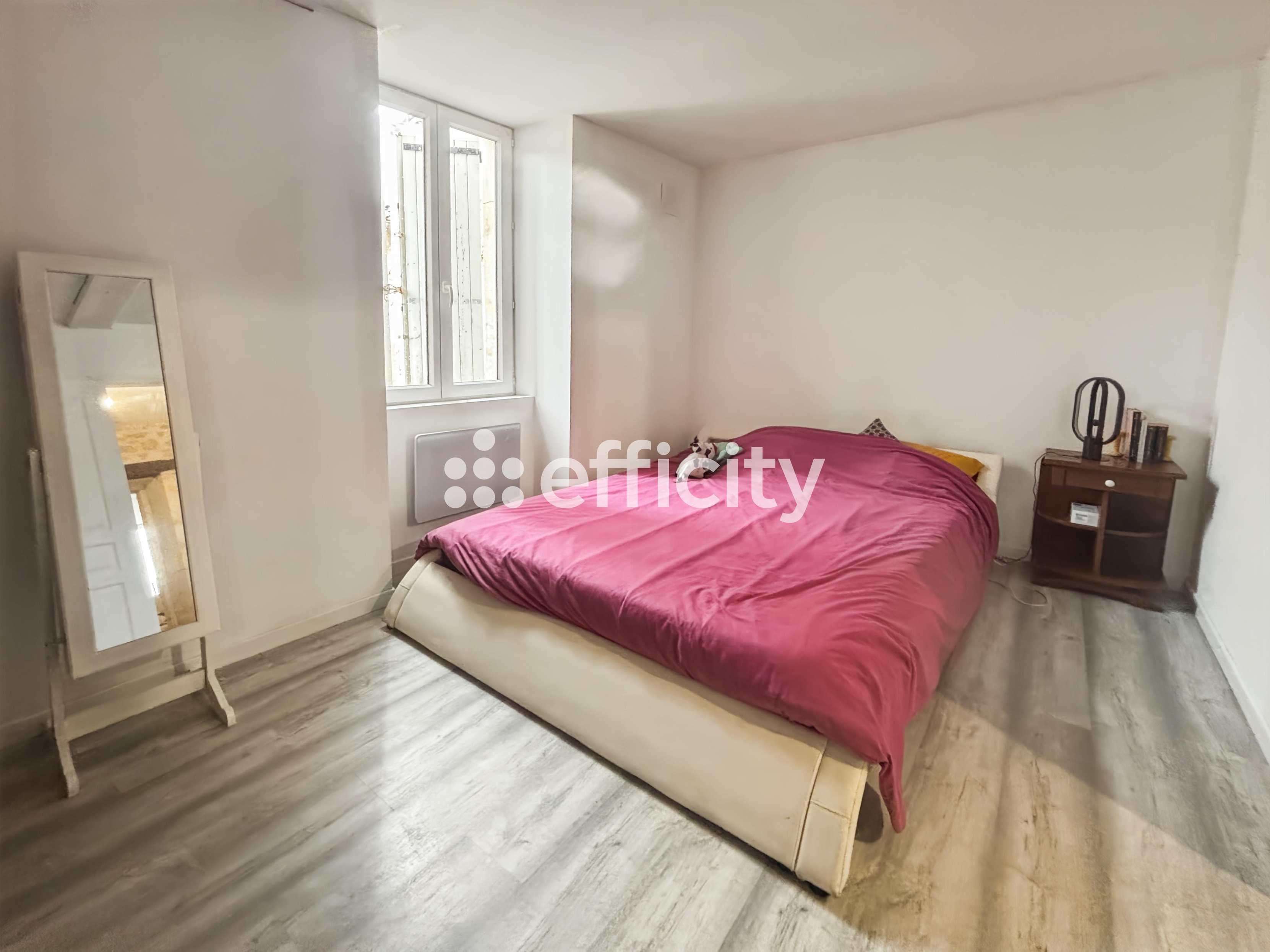 Achat immobilier Immeuble 8 pièces  185m2 à Brizambourg (17770) - Photo n°11
