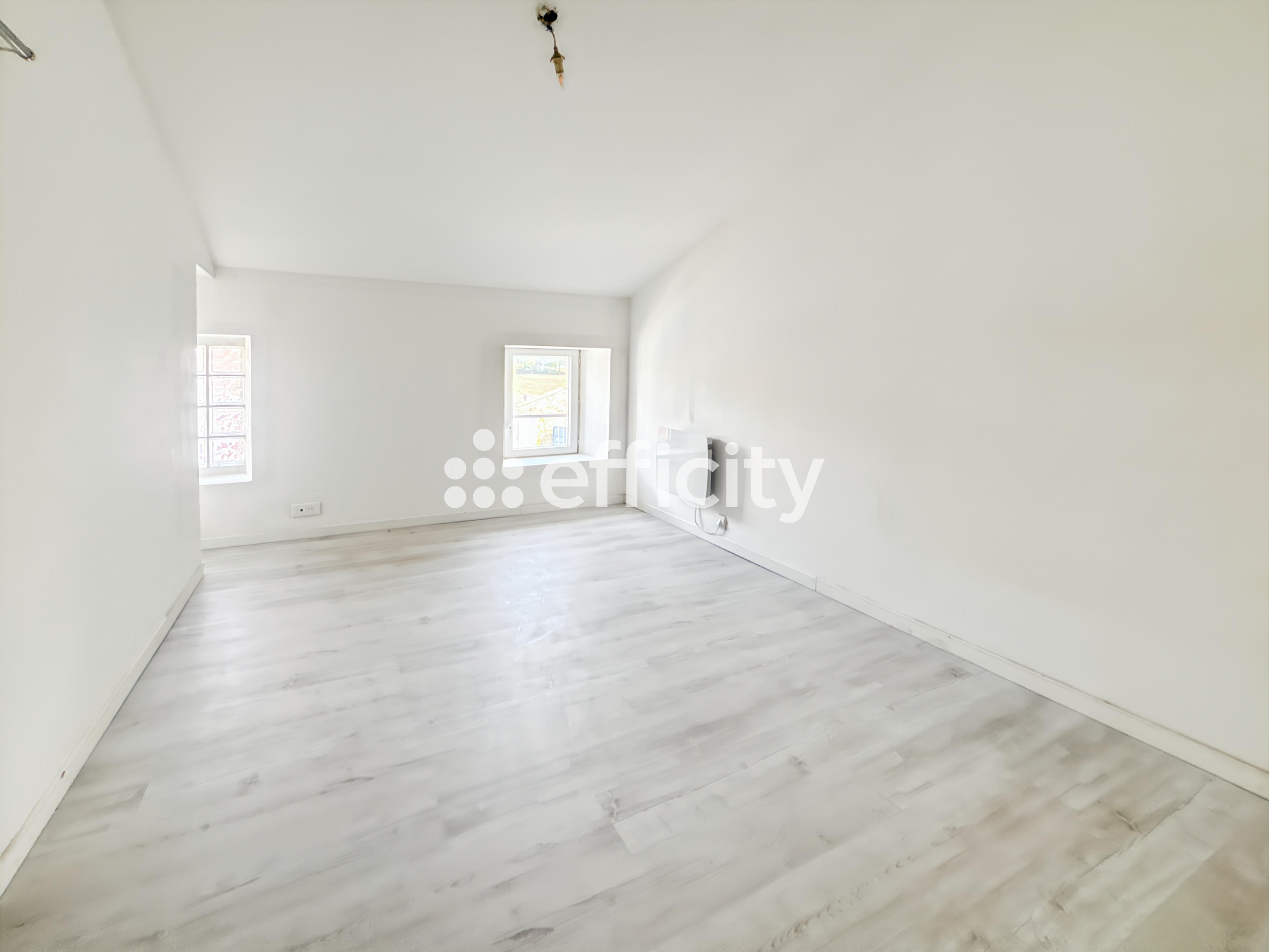 Achat immobilier Immeuble 8 pièces  185m2 à Brizambourg (17770) - Photo n°6