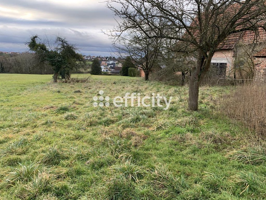 Achat immobilier Terrain   2000m2 à Merkwiller-Pechelbronn (67250) - Photo n°4