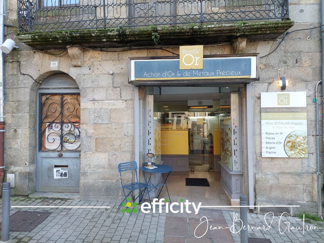 Achat immobilier Immeuble 14 pièces  319m2 à Guingamp (22200) - Photo n°4