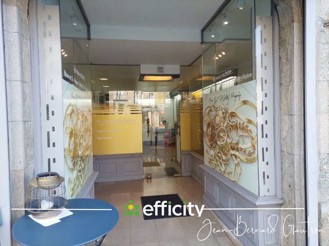 Achat immobilier Immeuble 14 pièces  319m2 à Guingamp (22200) - Photo n°5