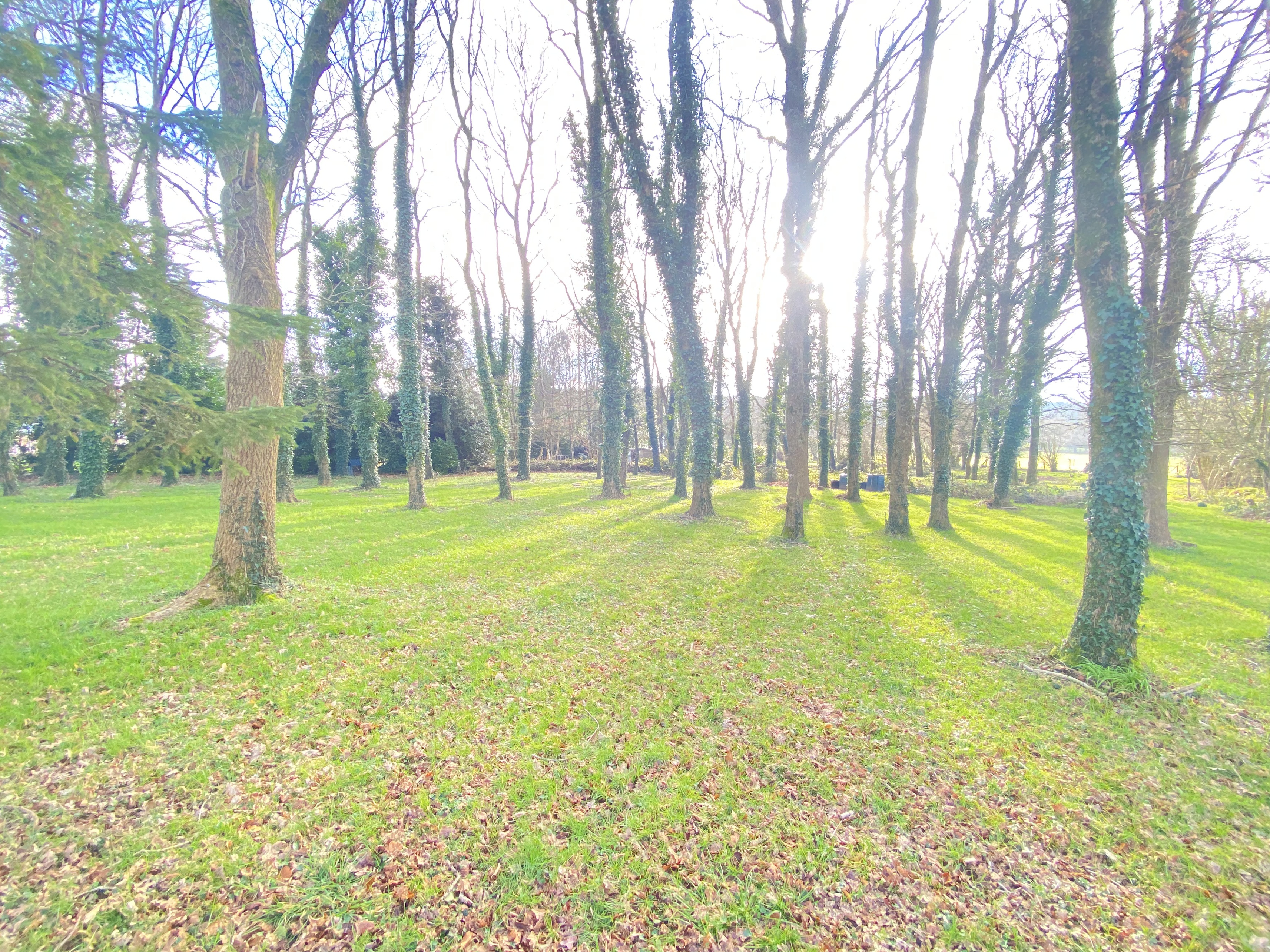 Achat immobilier Maison 6 pièces  170m2 à Locminé (56500) - Photo n°13