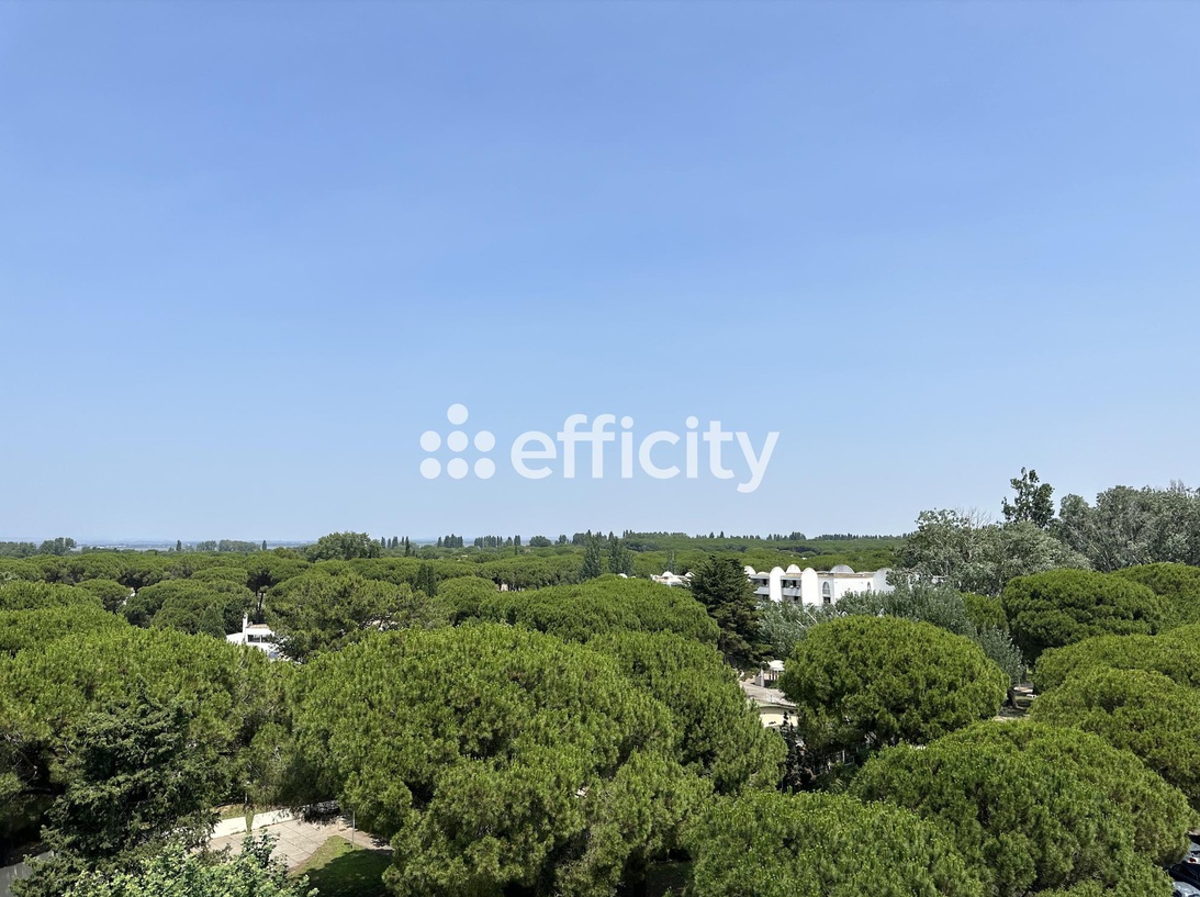 appartement 2 pièces - 30m2 à La Grande-Motte (34280)