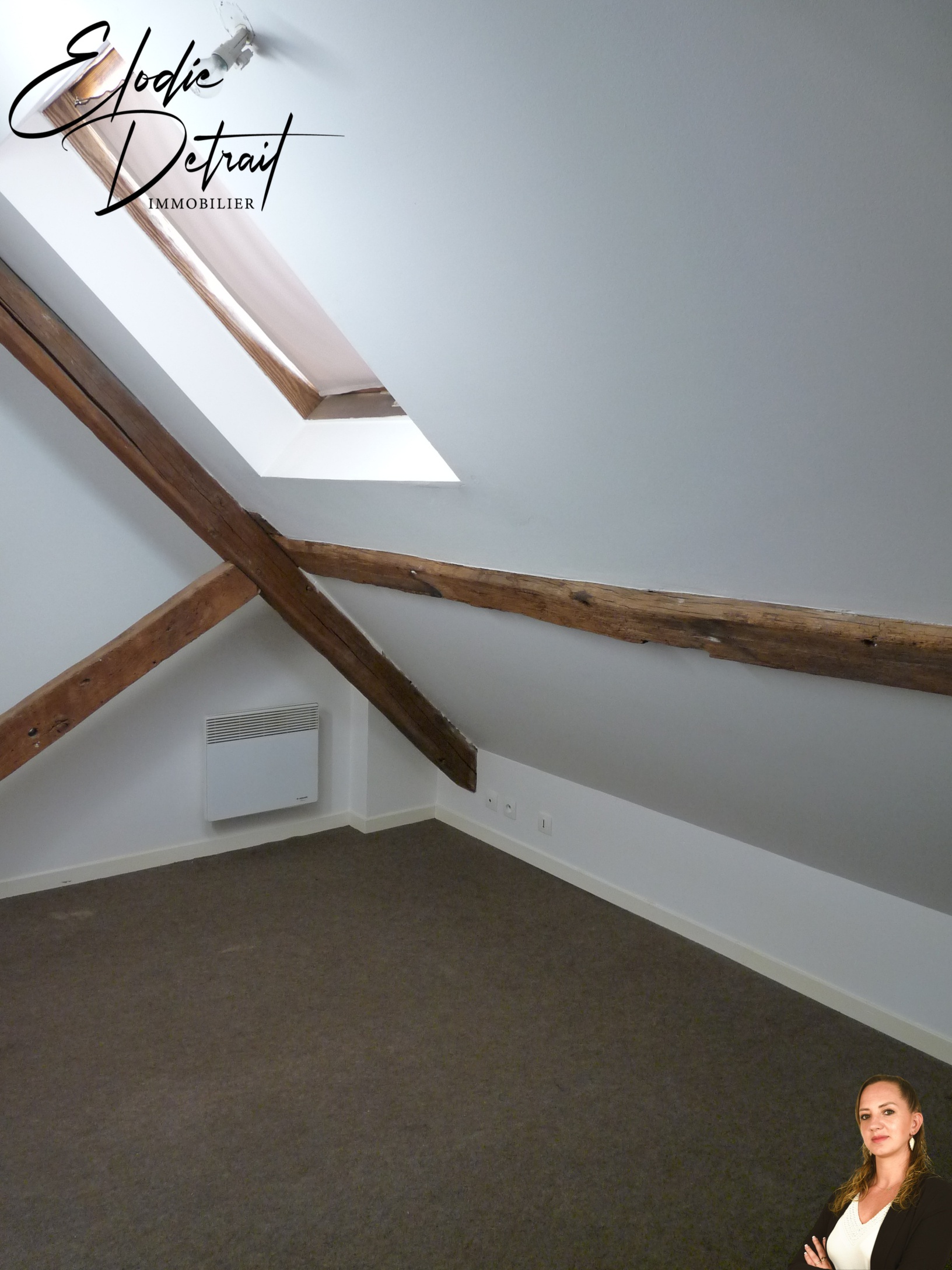 Achat immobilier Appartement 3 pièces  34m2 à Le Mans (72100) - Photo n°4