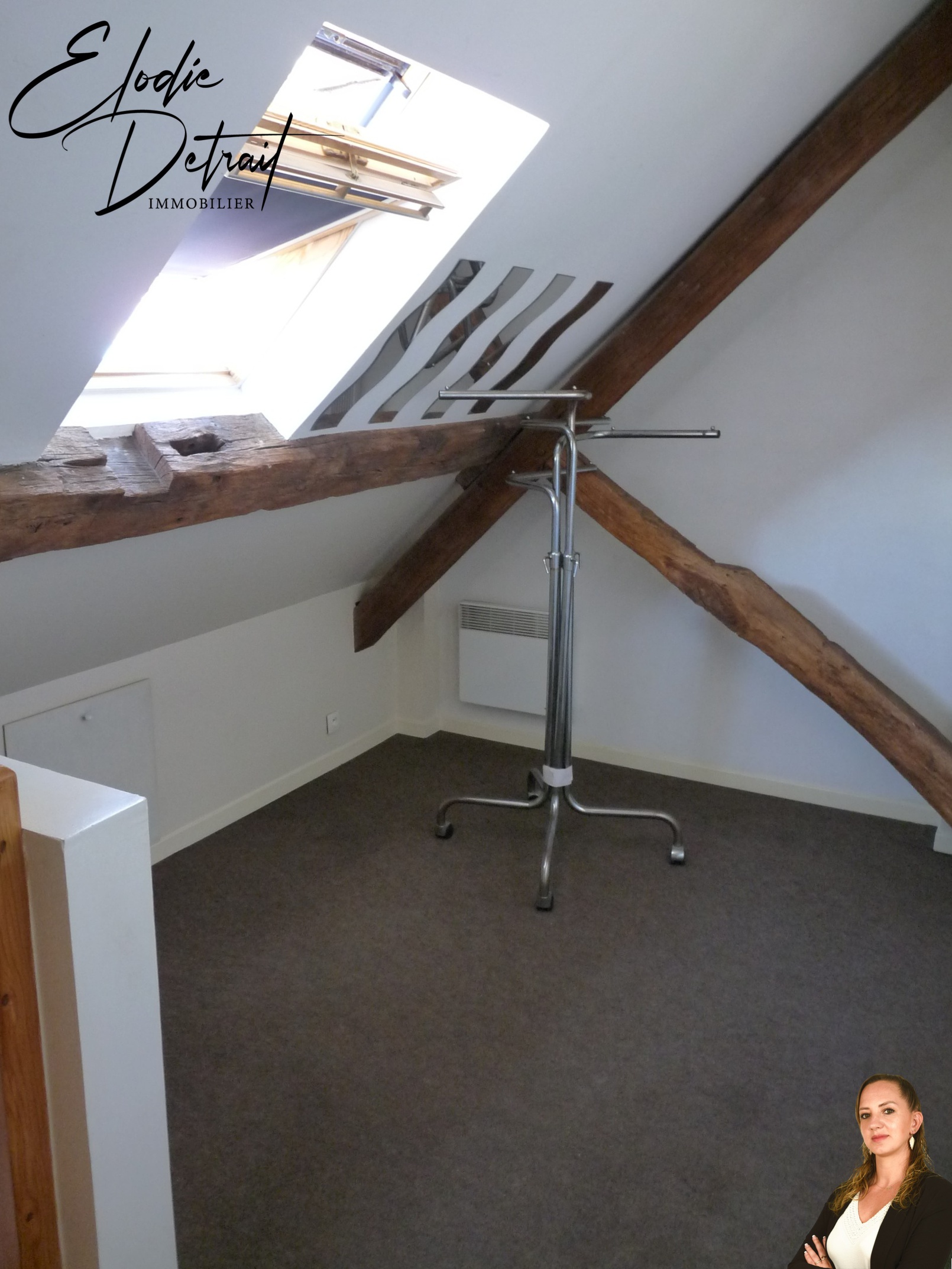 Achat immobilier Appartement 3 pièces  34m2 à Le Mans (72100) - Photo n°5
