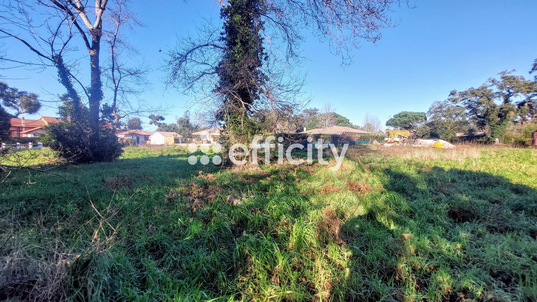 terrain  - 597m2 à Moliets-et-Maa (40660)