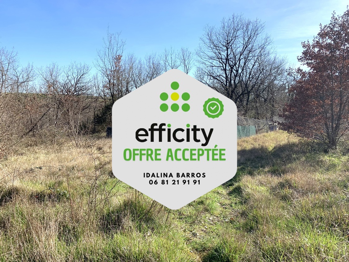 terrain  - 20595m2 à Aigre (16140)