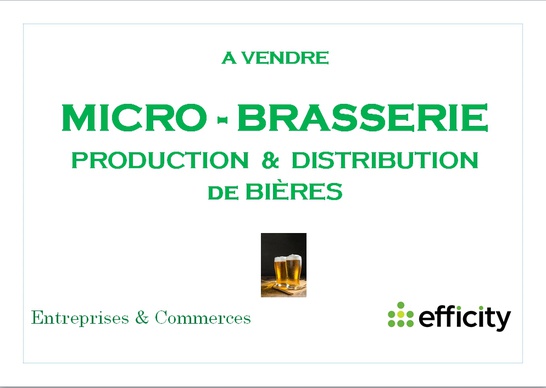 fonds-de-commerce  - 520m2 à Lyon (69001)