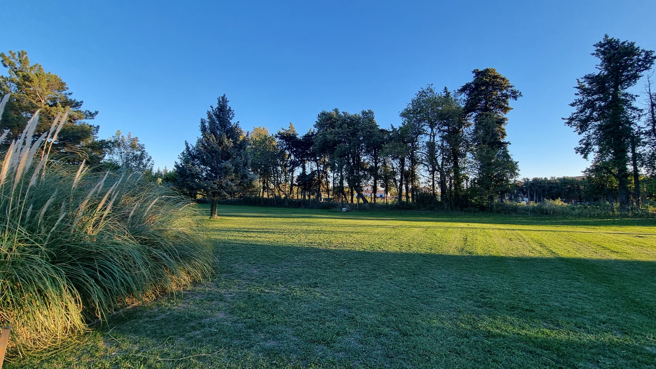 terrain  - 751m2 à Sénas (13560)