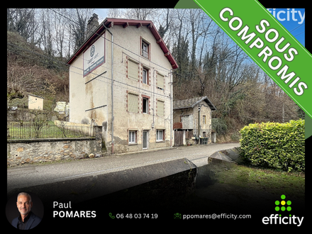 maison 12 pièces - 240m2 à Tullins (38210)