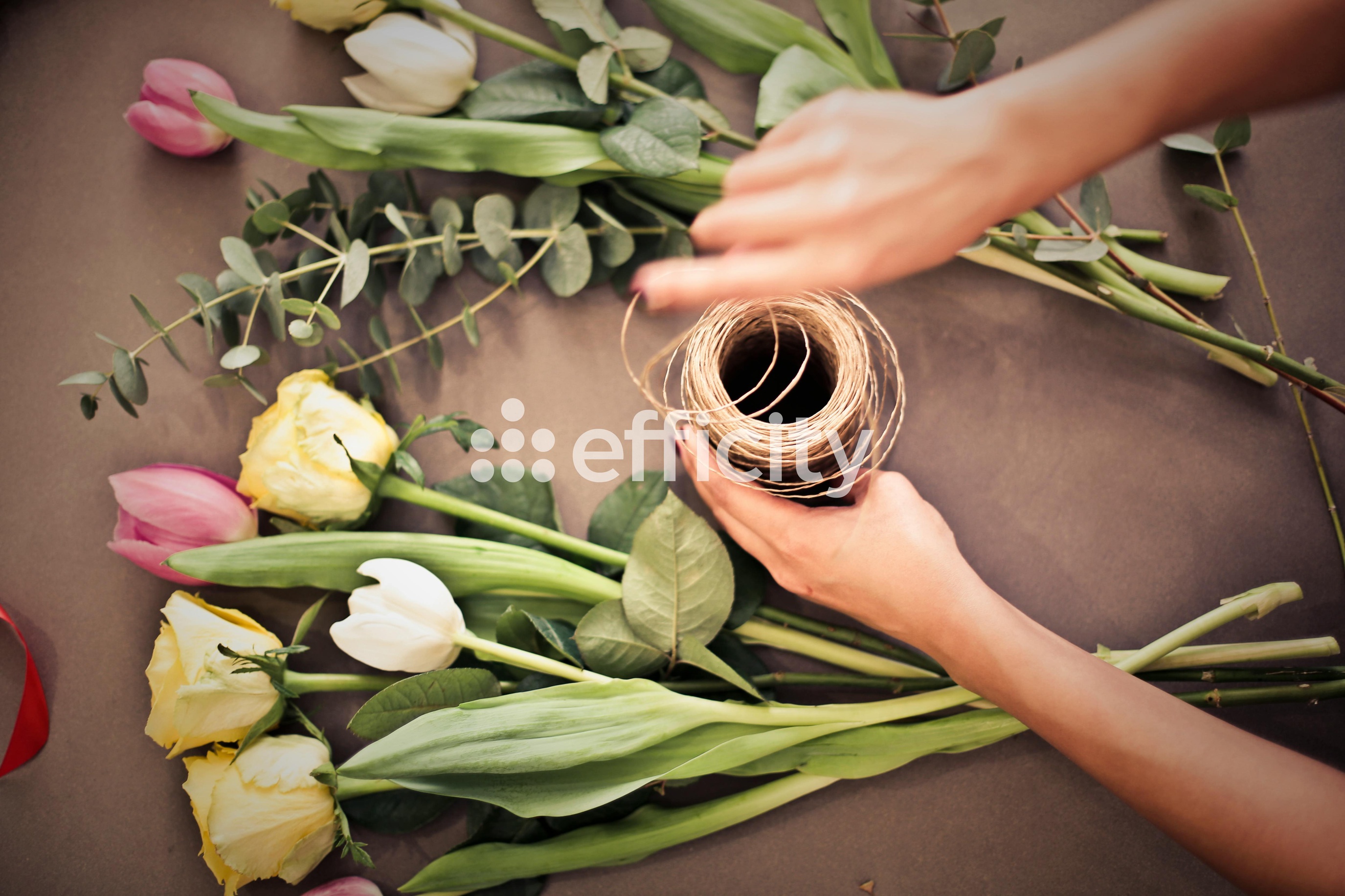 fonds-de-commerce  - 40,0m2 à Brest (29200)