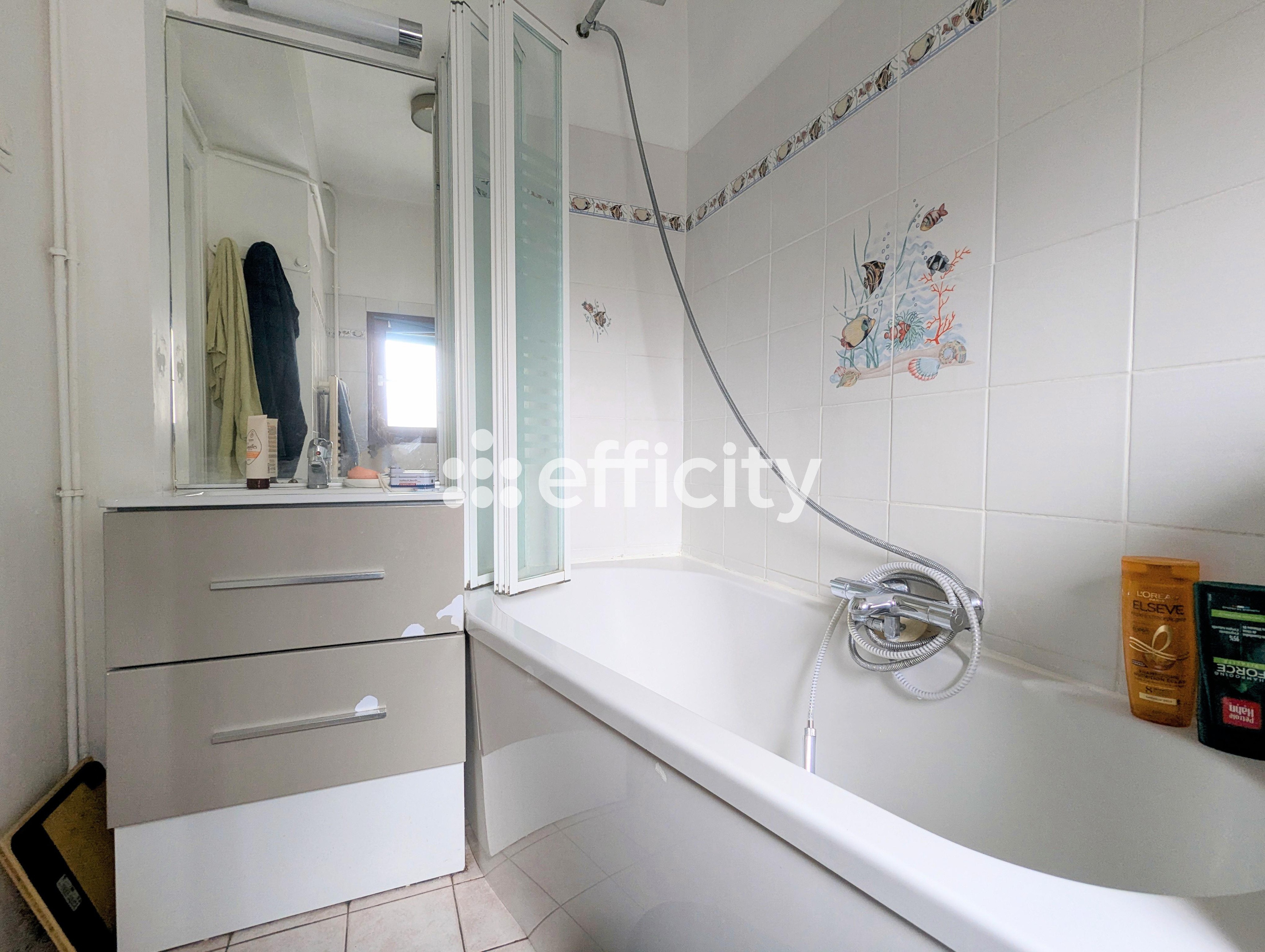 Achat immobilier Appartement 3 pièces  55m2 à Charenton-le-Pont (94220) - Photo n°7