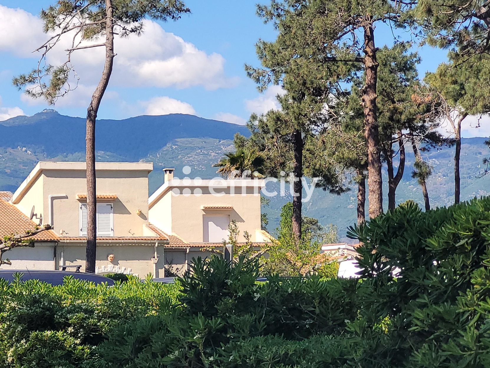 appartement 3 pièces - 49m2 à Borgo (20290)